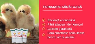 Nici puilor de gaina nu. DiferenÈa Intre Concentrate Èi Furaje Agroland