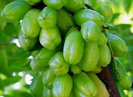 Belimbing wuluh sudah tak asing lagi di negara tropis seperti indonesia. Sering Jadi Pelengkap Masakan Siapa Sangka Belimbing Wuluh Bisa Jadi Obat Ampuh Untuk Batuk Semua Halaman Sajian Sedap