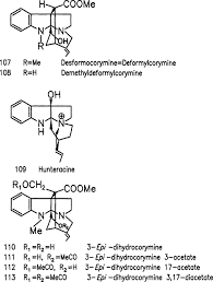 Image result for Strychnos matopensis