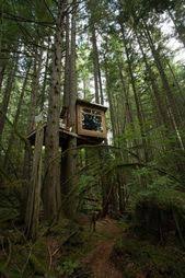Deer hunting blind/shooting house plans. 170 Deer Hunting Shooting House Ideas Shooting House Deer Hunting Hunting