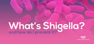 Image result for Shigella