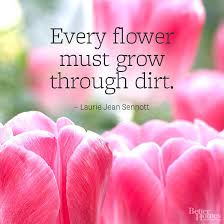 Check spelling or type a new query. Flower Quotes Better Homes Gardens