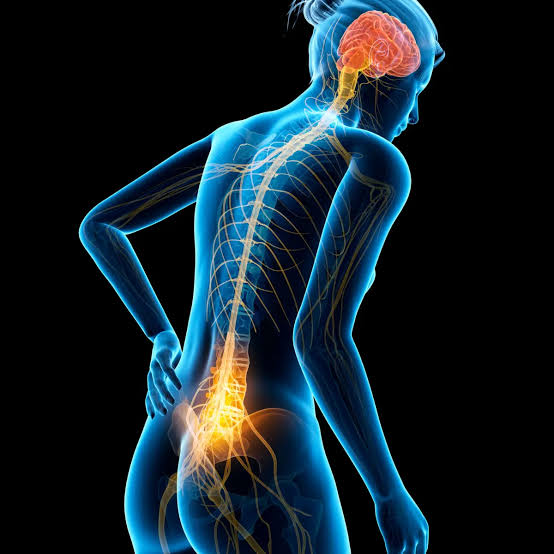What Triggers Sciatic Nerve Pain? Causes & Solutions