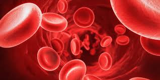 Anemia Si Carenta De Fier Cauze Si Remedii Naturale Blogul Minunea Naturii
