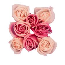 Amazing time lapse photography of variety of lillies, peonies, irises and other wonderful flowers. Blooming Flower Gif Transparent Explore And Share The Best Blooming Flower Gifs And Most Popular Animated Gifs Here On Giphy