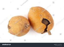 Image result for Balanites