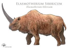 Elasmotherium Prehistoric Animals Bizarre Animals Extinct Animals