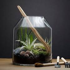 15 Terrarium Kits That Have Everything You Need To Bring Some Green Into Your Home In 2020 Terrariums Kits Terrarium Air Plant Terrarium