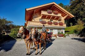 The horse & carriage company, chelmsford, essex. Horse Carriage Sleigh Ride In Grainau Zugspitz Arena