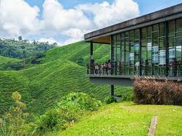 Suhu dingin, pemandangan menarik, dan buah strawberry murah, malah banyak aktiviti di cameron highland yang boleh anda lakukan bersama keluarga dan rakan. Tiada Arahan Ujian Pengesanan Covid 19 Di Cameron Highlands