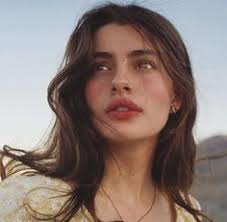 Genesee County Fastpitch