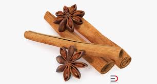 Stick Cinnamon And Star Anise Spice 3d Model Star Anise Cinnamon Stick