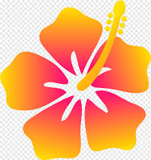 Check spelling or type a new query. Orange Hibiscus Cliparts Png Images Pngwing