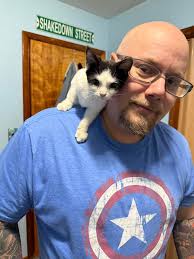 Chihuahua cross, Frodo is available for adoption 🥰 love this little dude  🖤