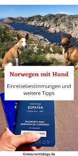 Norwegen Mit Hund Einreisebestimmungen Und Weitere Tipps In 2020 Norwegen Urlaub Norwegen Wohnmobil Mit Hund