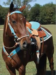 pin by grace martin on tack western horse horses horse tack