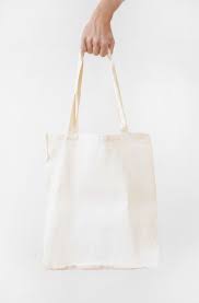 Hand Holding Blank White Fabric Canvas Bag Isolated Over White Background Plain Canvas Tote Bag White Fabrics Canvas Bag