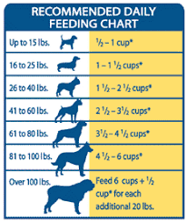 Recommended Daily Feeding Chart Dog Care Dog Care Tips