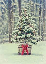 Find the perfect christmas tree image from our incredible photo library. A Snow Covered Natural Spruce Christmas Tree With Illuminated Stock Photo Picture And Royalty Free Image Image 36622663