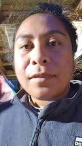 The calm before the storm #cyclonetam #newzealand #horses #chicken #dogs