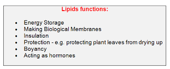 Biology Notes For A Level 11 Lipids Triglycerides And Phospholipids