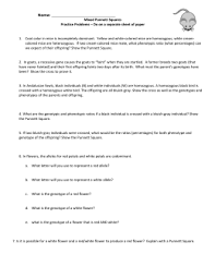 Try other combinations of mouse parents. 26 Genetics Mixed Review Worksheet Answers Free Worksheet Spreadsheet