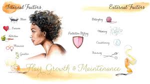 Intro To Hair Growth And Maintenance Chart