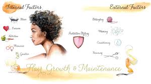 intro to hair growth and maintenance chart