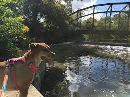 Brackenridge Park Who Needs Things To Do In San Antonio Places For Pups Brackenridge Park San Antonio Zoo Things To Do In San Antonio