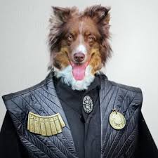 Susan Dyck (@SusanDyck1)