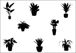 Potted Plants Silhouette Vector Clip Art Silhouette Clip Art Silhouette Vector Clip Art