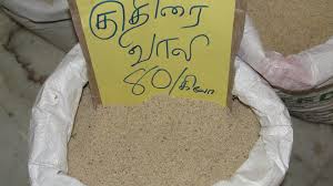 Image result for Echinochloa frumentacea