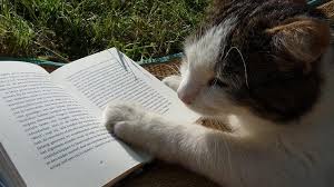 Garfield's nemesis nermal is known as the world's cutest kitty cat. Literary Cat Names 71 Fantastic Creative Names