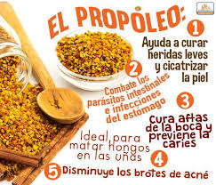 Propiedades Y Beneficios De El Propoleo Beneficios De Alimentos Nutricion Salud Y Nutricion