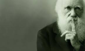 Adagio ma non troppo. Digressioni su evoluzionismi e piagnistei