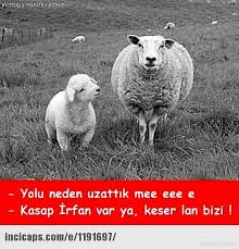 Mizahiyla Beraber Gelen Kurban Bayrami Ndan 19 Komik Caps Komik Mizah Komik Hayvanlar