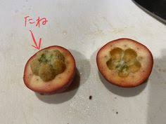 レシピあり 究極のasmrフルーツ飴 タンフールー 糖葫芦 を作るには 生サンザシgetの鍵は長野県だった 沢井メグのリアル中華 第21回 ロケットニュース24 タン 作る フルーツ