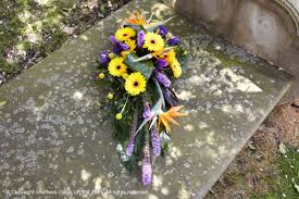 Flowers come in a wide variety of colors. Yellow And Purple Sheaf Flower Thyme Kineton Warwickshire