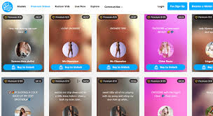 But the crafty folks at onlyfans have found a way in through the back door by packaging up 'suitable for work' content. 5 Best Onlyfans Alternatives For Content Creators Fans