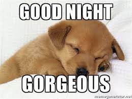 101 Good Night Memes For When You Want Funny Goodnight Wishes Good Night Funny Cute Good Night Good Night Hug