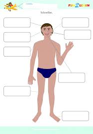 English as a second language (esl) grade/level: Label The Body Parts Worksheet Head Eye Nose Ear Mouth Shoulder Knee Foot F2l German Fun2learn