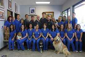 Great staff and vets that provide wonderful service. Animal Planet Captures Laughter And Tears Of Family Vet Clinic