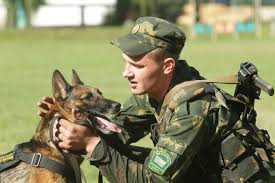 Земной поклон всем, кто защищает границу. Pozdravlenie S Dnem Pogranichnika