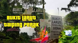 Take a wildlife tour at bukit larut, malaysia. Bukit Larut Taiping Perak Youtube