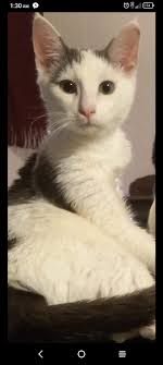 Listed as Sprague WV. Sharing only. Contact original post.