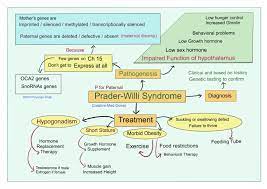 Prader Willi Syndrome Floppy And Hungry Creative Med Doses