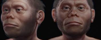 Deadlands] Savage West Solo Play