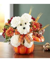 Check spelling or type a new query. A Dog Able For Fall By 1800flowers In Los Angeles Ca 1 800 Flowers Conroys