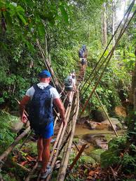 The Ultimate Adventure Through Wild Borneo | Much Better Adventures