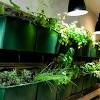 Story image for chef news articles from New Jersey Monthly